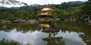 Golden Palace 2013