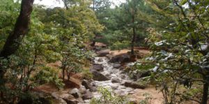 Golden Palace Garden