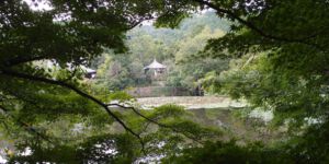 Park Lake View