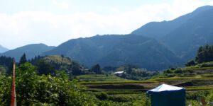 Rice Terraces