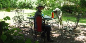 OLYMPUS DIGITAL CAMERA