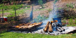 OLYMPUS DIGITAL CAMERA