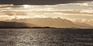 Boat Trip